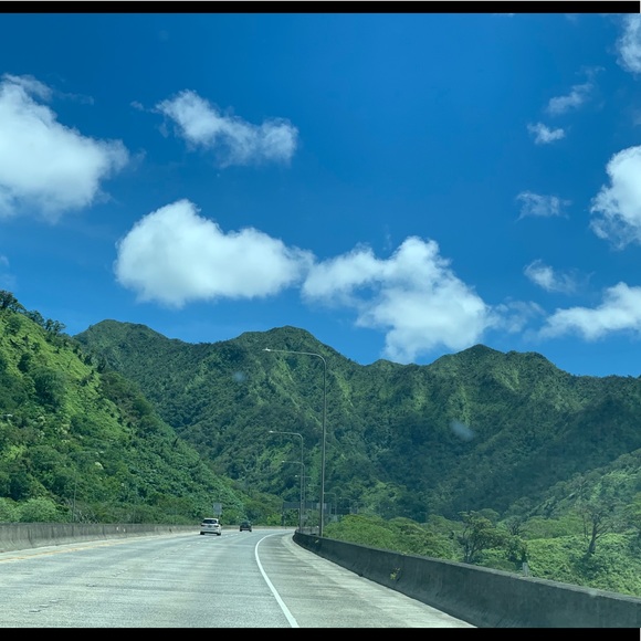 Meet your Posher, Shayla - Picture 10 of 16